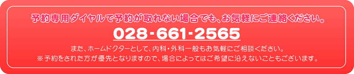 予約が取れない場合でも、お気軽にご連絡ください。028-661-2565。また、ホームドクターとして、内科・外科一般もお気軽にご相談ください。※予約がされた方が優先となりますので、場合によってはご希望に沿えないこともございます。