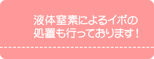 液体窒素によるイボの処置も行っております。