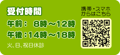 受付時間は午前8時から12時、午後14時から18時。火曜、日曜、祝日は休診です。